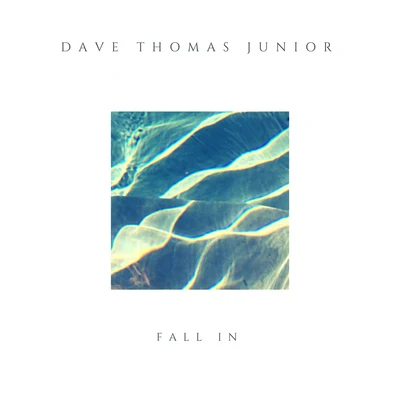 Fall In 專輯 Dave Thomas Junior/APEK/Linney/The Chain Gang of 1974/Ryos