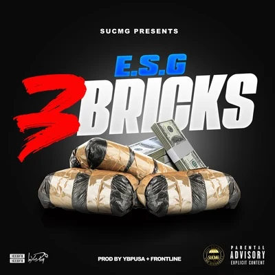 3 Bricks 专辑 E.S.G.