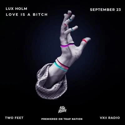 Love Is A ***** (Lux Holm Remix) 专辑 Lux Holm/Slashtaq