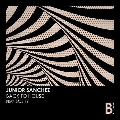 Junior Sanchez Back To House