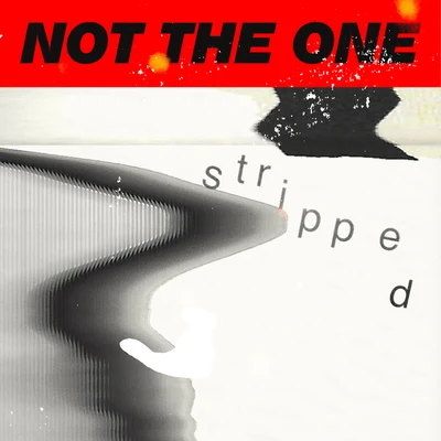 Not The One (Stripped) 專輯 Mikky Ekko