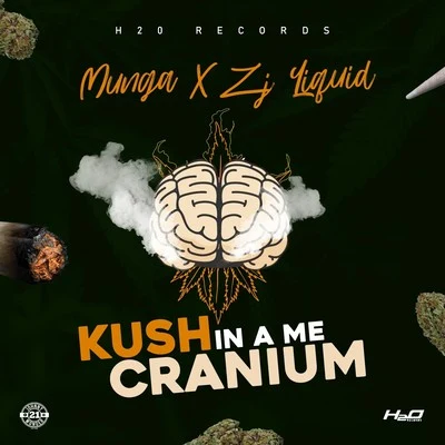 Kush in a Me Cranium 专辑 ZJ Liquid/Verse Simmonds/Konshens