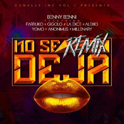 No Se Deja (Remix) 专辑 Benny Benni