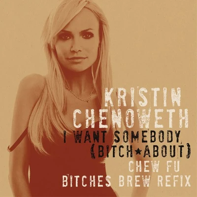 I Want Somebody (***** About) [Chew Fu *****es Brew Refix] 專輯 Paul Cardall/Kristin Chenoweth/Ty Herndon