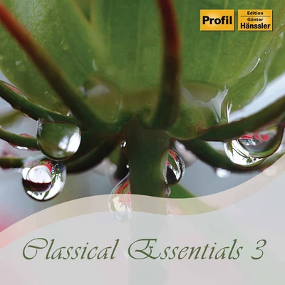 Classical Essentials, Vol. 3 专辑 Philharmonic Festival Orchestra