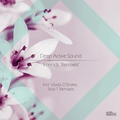 Friends 專輯 Grisha Gerrus/Serj V/Etimkin/Deep Active Sound/Joshua Pathon