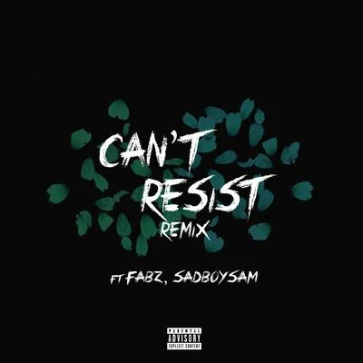 Cant Resist (feat. Fabz & SadBoySam) (Remix) 專輯 Bartz/Louco de refri/Os Cretinos/Mc Danny Morais