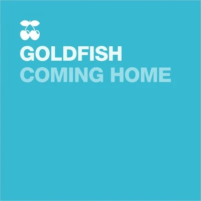 Coming Home 专辑 Compromise/Moimir Papalescu/RAGNAR/GoldFish/Glamour To Kill