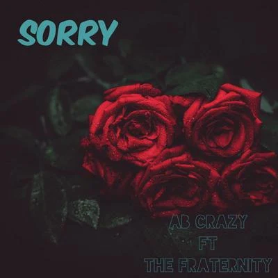 Sorry 專輯 Noble Jay/AB Crazy