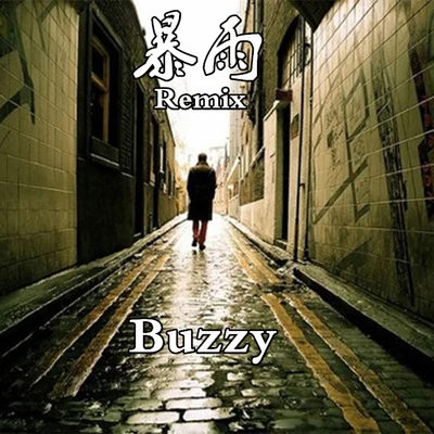 暴雨Remix 專輯 Buzzy/DJ Gollum/Picco/Jan Wayne/Discotronic