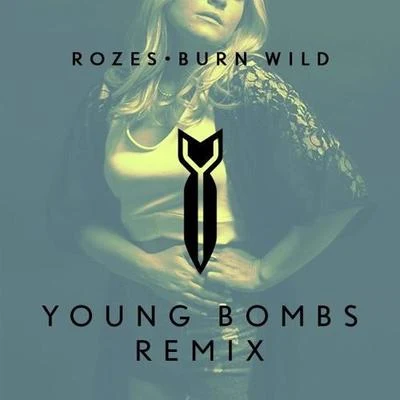 Burn Wild (Young Bombs Remix) 專輯 EVVY/YOUNG BOMBS