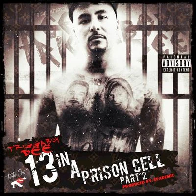 13 in a Prison Cell, Pt. 2 專輯 Hatchet/Mumz/Triggaboy Dee/Gutta Boy