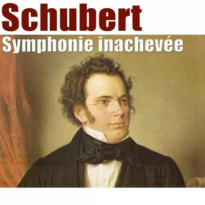 Schubert: Symphonie inachevée 專輯 Louis de Froment/RTL Symphony Orchestra/Abbey Simon