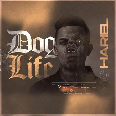 Dog Life 专辑 Mc Hariel/Djonga/Delano