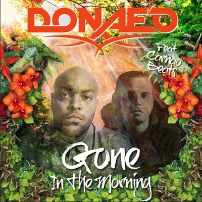 Gone in the Morning Remixes 专辑 Donae'o