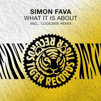 Simon Fava What It Is About