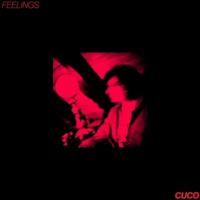 Feelings 专辑 Cuco