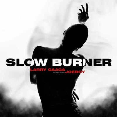 Larry Gaaga Slow Burner