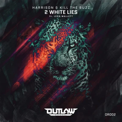 2 White Lies 專輯 DS/HARRISON/Alesso/DJ Snake/Dannic