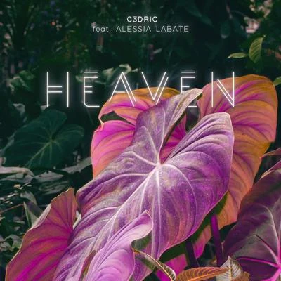 Heaven 專輯 VY•DA/Alessia Labate/Marc Benjamin/Timmo Hendriks