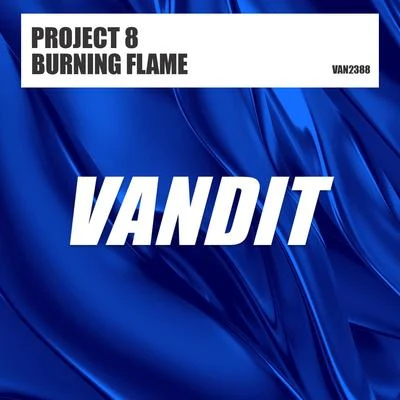 Burning Flame 专辑 Project 8/Everlight