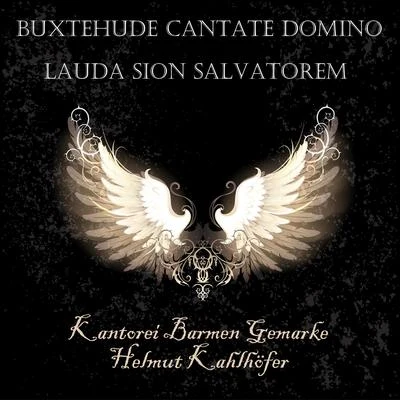 Buxtehude Cantate Domino & Lauda Sion Salvatorem 专辑 Kantorei Barmen-Gemarke