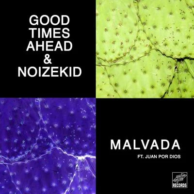 Malvada (feat. Juan Por Dios) 专辑 Noizekid/VinDon/DISTO