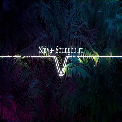 Springboard 專輯 Shiva/Pyrex