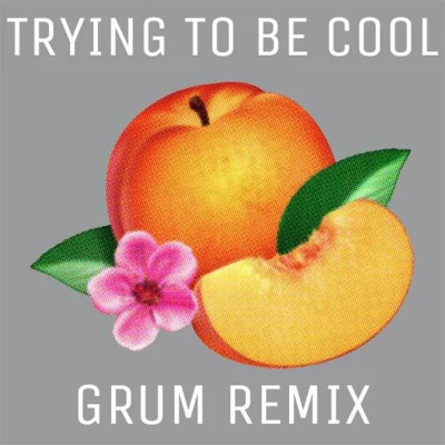 Trying To Be Cool (Grum Remix) 專輯 Phoenix