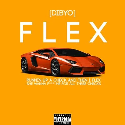 FLEX 专辑 Dibyo