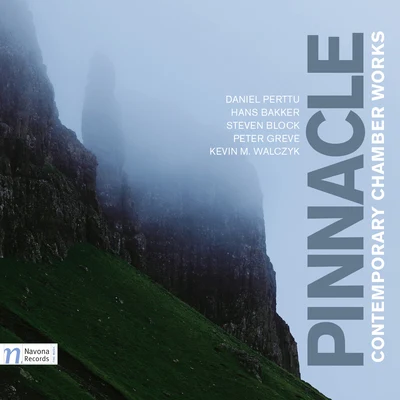 Pinnacle 專輯 Erik Van Heyningen/Petr Nouzovský/Vit Muzik/Carmine Miranda/Dominika Mužíková