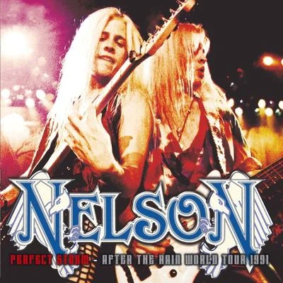 Perfect Storm - After the Rain World Tour 1991 (Live) 專輯 Nelson/Vinny