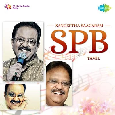 Sangeetha Saagaram - Spb 专辑 Vidyasagar/S. P. Balasubrahmanyam