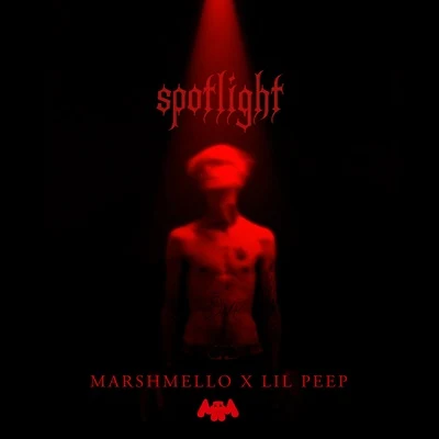 Spotlight 專輯 Marshmello/The Cranberries/Justin Bieber/Selena Gomez/Ellie Goulding