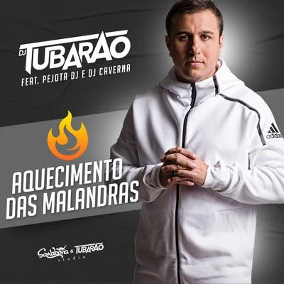 Aquecimento das Malandras 專輯 DJ Tubarão/MC Ysa/Dj Tubarão & MC Ysa