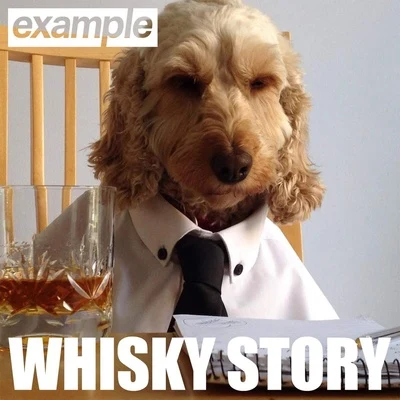 Whisky Story 專輯 Example