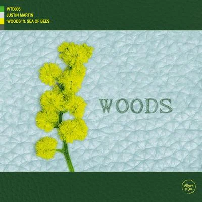 Woods 專輯 Justin Martin/Trikk/Kari Amirian/Squarehead/Desolate