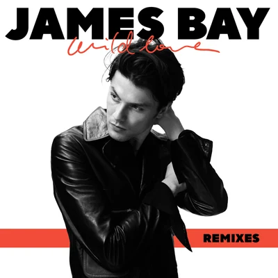 James Bay Wild Love (Remixes)