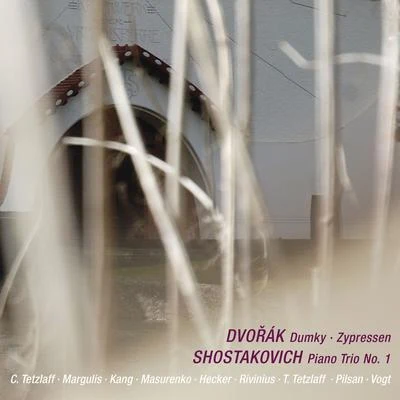 Dvořák: Dumky & Zypressen - Shostakovich: Piano Trio No. 1 (Live) 專輯 Claudio Bohórquez/Lars Vogt/Antje Weithaas