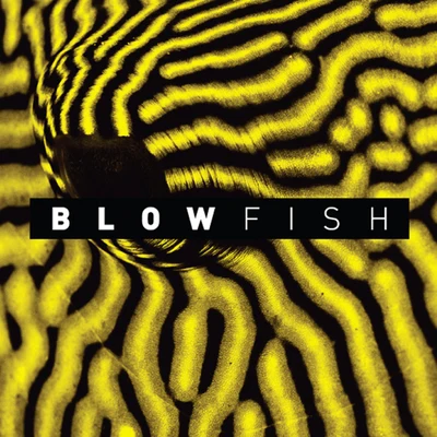 ChimpoDRSDynamite MC Blowfish