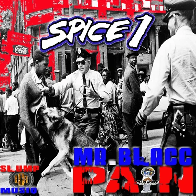 Spice 1 Pain (feat. Mr. Blacc & Slump Musiq)