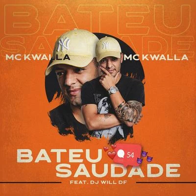 Bateu Saudade 專輯 MC Mari/DJ Will DF