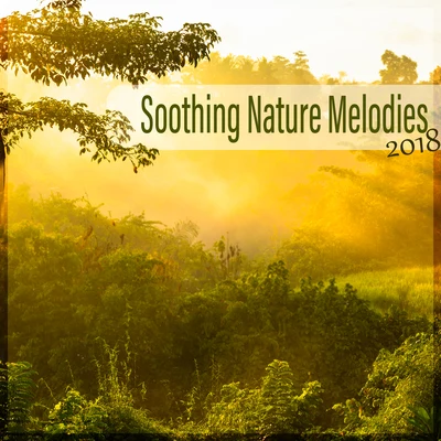 The Calming Sounds of Nature Soothing Nature Melodies 2018