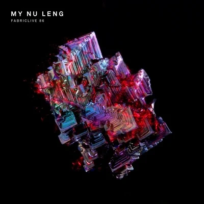 My Nu Leng Fabriclive 86