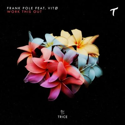 Work This Out 專輯 Frank Pole