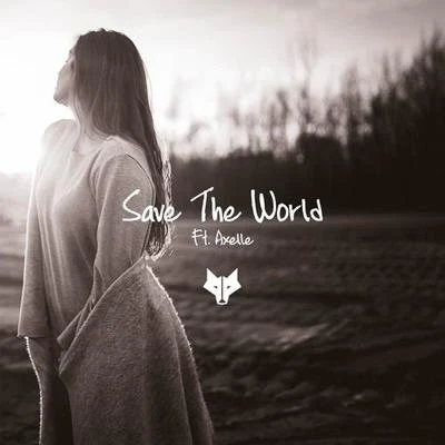 Save The World 专辑 Sander W.