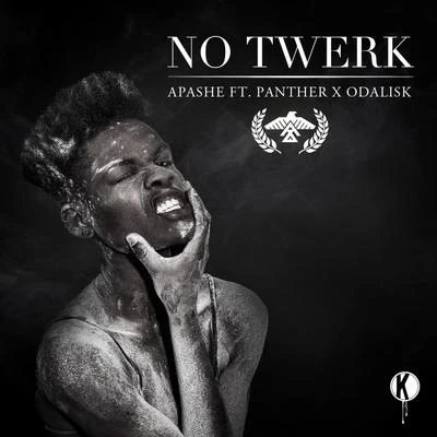 No Twerk 专辑 Apashe