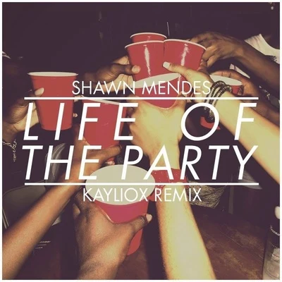 Life Of The Party (Kayliox Remix) 专辑 Kayliox