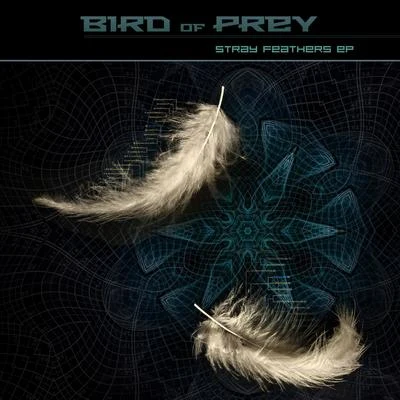 Stray Feathers 專輯 Bird of Prey