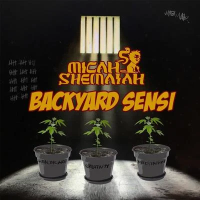 Backyard Sensi 专辑 BiggaDread/Micah Shemaiah